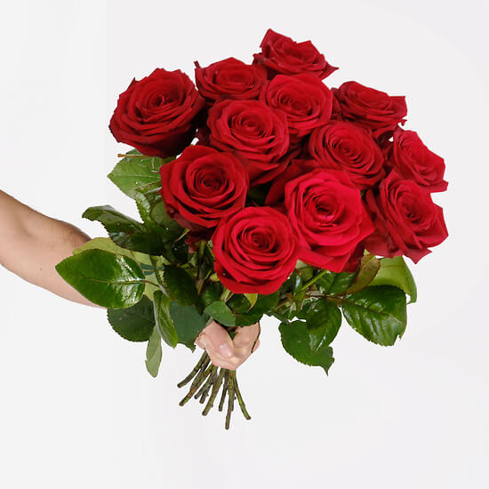 12 grandes roses rouges