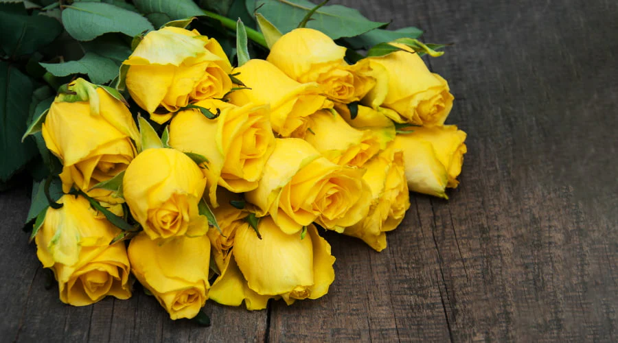 Roses blanches pour remerciement