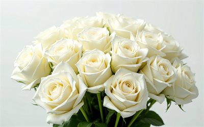 Roses mariage – roses roses et blanches