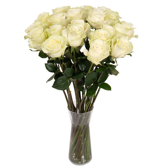 Roses blanches du fleuriste