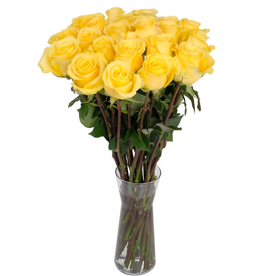 Roses jaunes du fleuriste