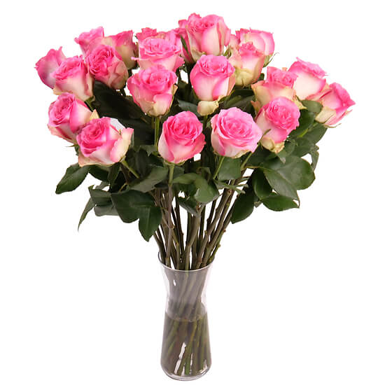 Roses roses du fleuriste