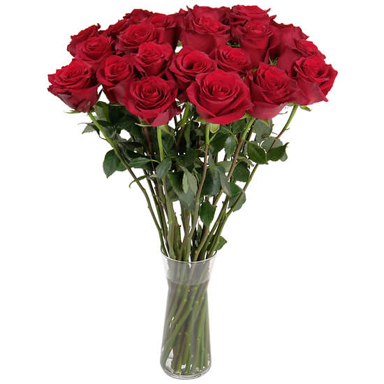 Roses rouges du fleuriste